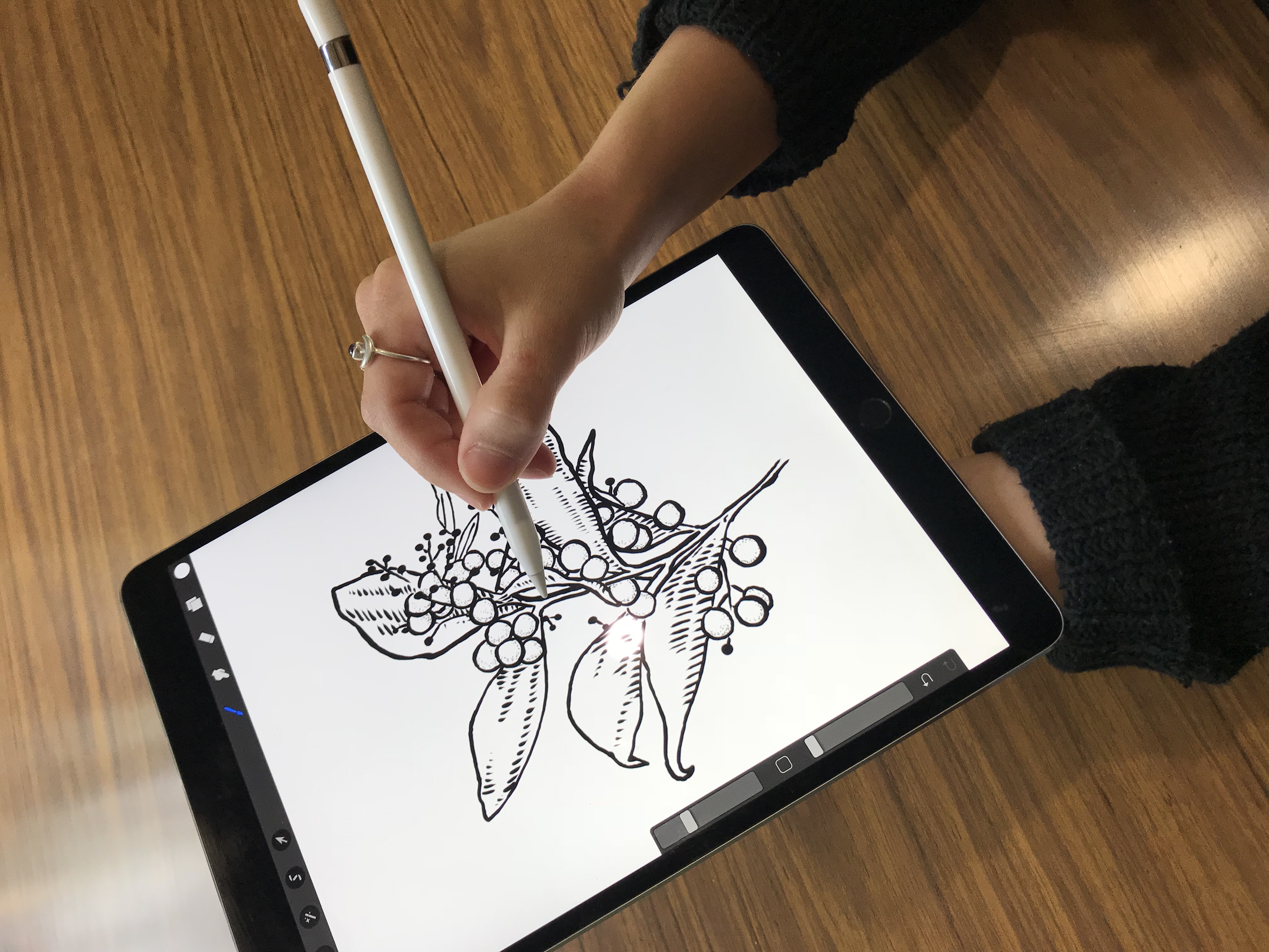 IPad Pro Digital Drawing Workshop Tickets The Adelaide 