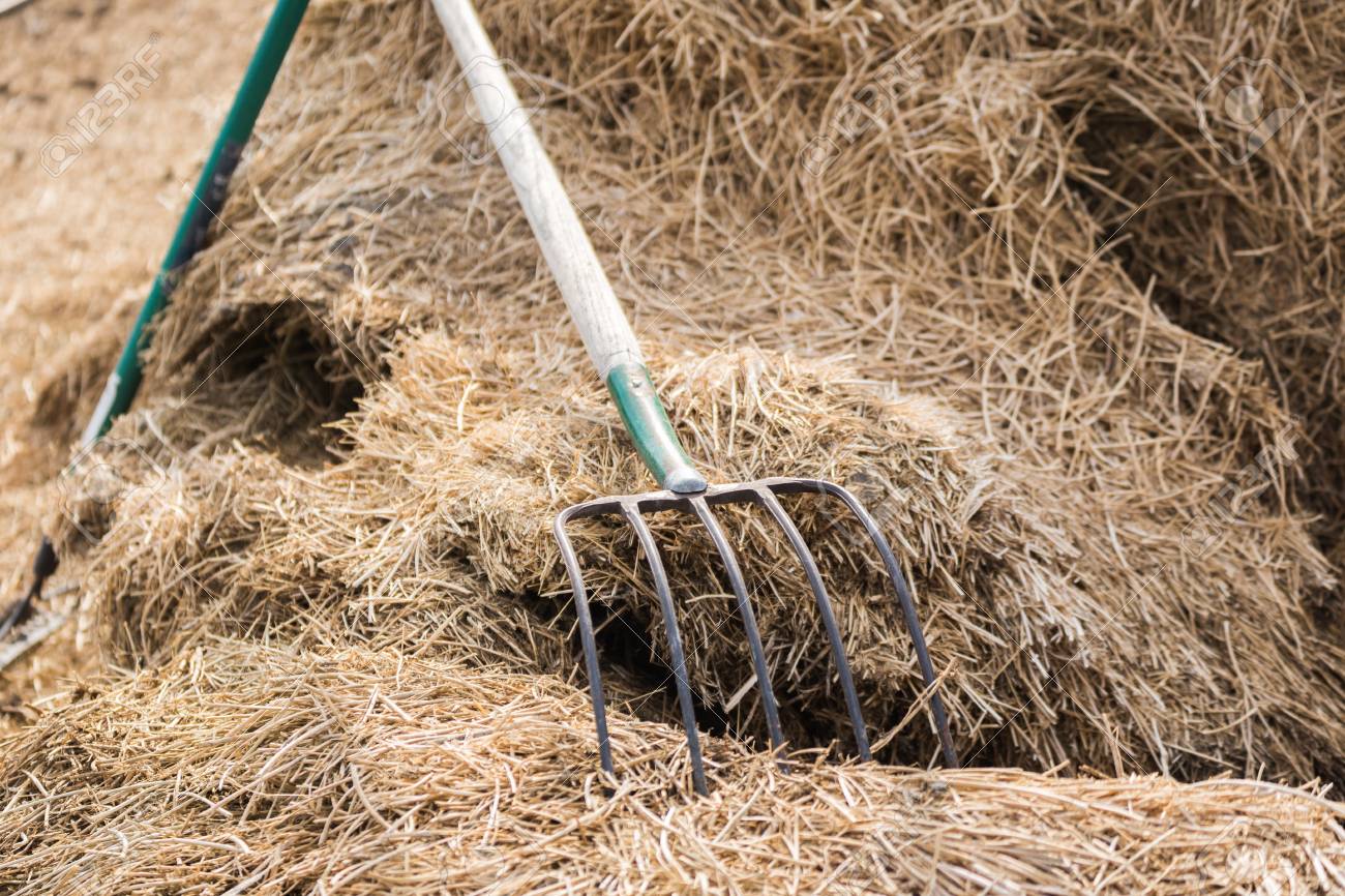 THE PITCHFORKS Tickets 01/15/20