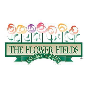 The Flower Fields - March 3rd: 