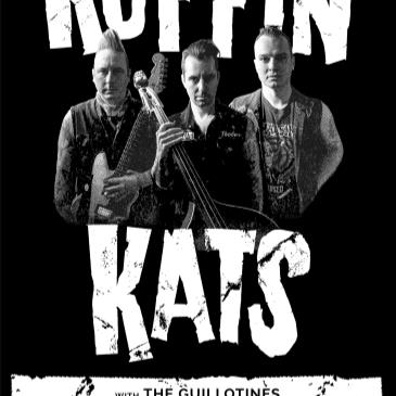 Koffin Kats-img