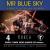 Mr. Blue Sky - A Tribute to Electric Light Orchestra-img