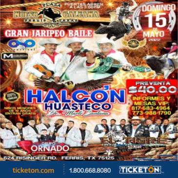 HALCON HUASTECO: 