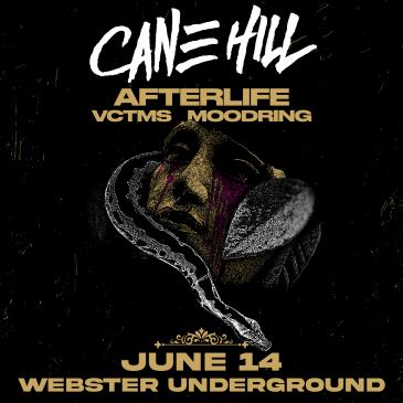 CANE HILL-img