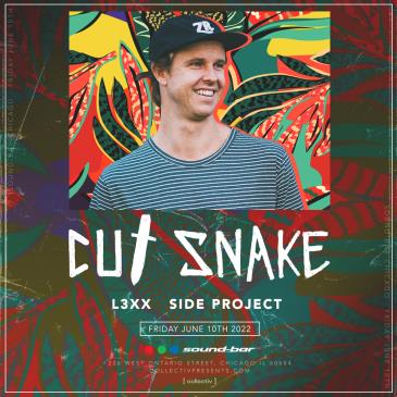 Cut Snake at Sound-Bar: 