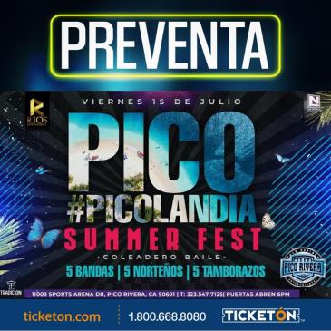 PICOLANDIA SUMMER FEST: 