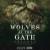 Wolves at the Gate "Captors" 10 Year Show-img