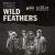 The Wild Feathers-img
