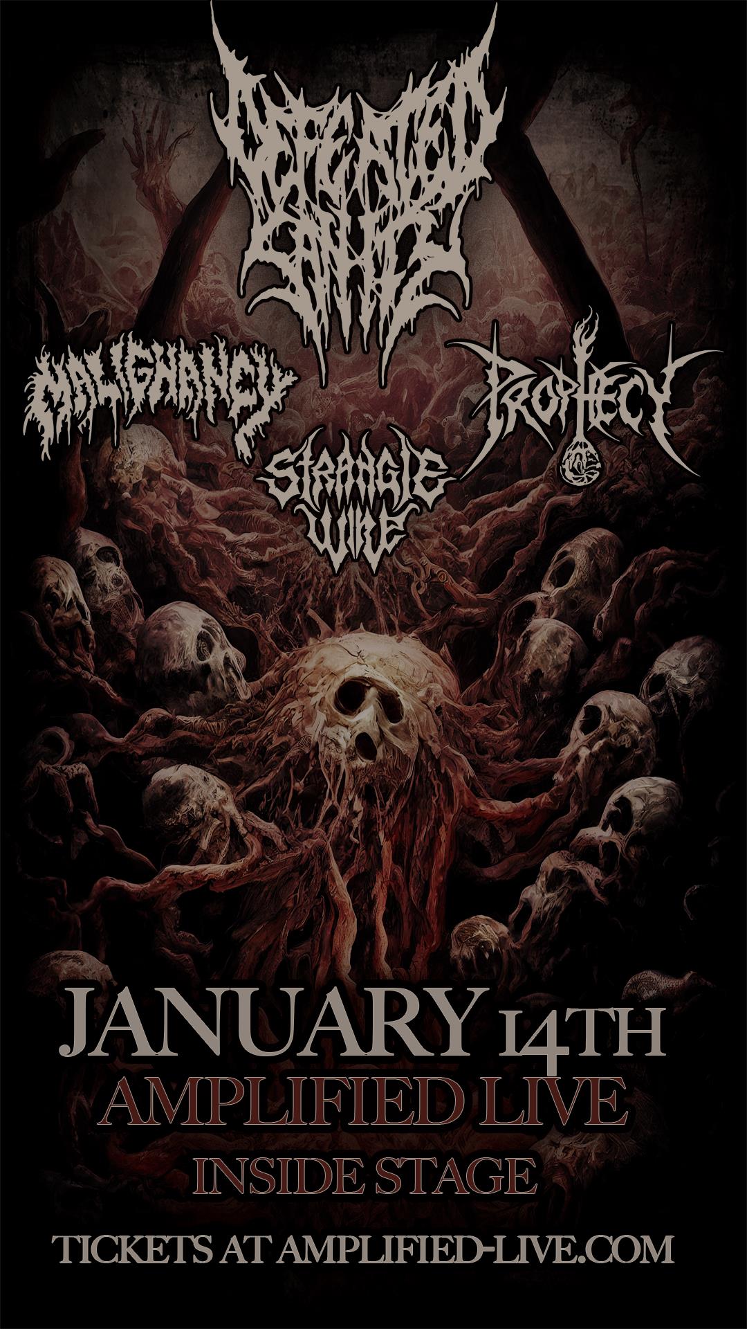 Defeated Sanity – INSIDE STAGE