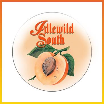Idlewild South: A Tribute to The Allman Brothers Band-img