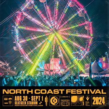 North Coast Music Festival 2024 - Ferris Wheel-img