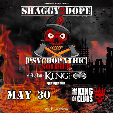 Shaggy 2 Dope-img