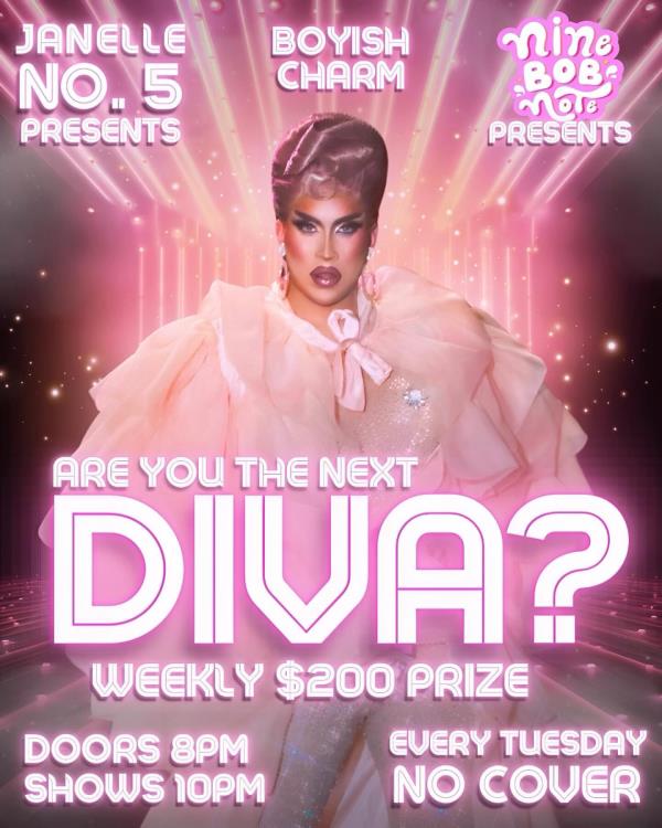 Are You The Next Diva?: 