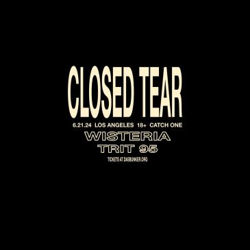 Closed Tear / Wisteria / Trit95-img