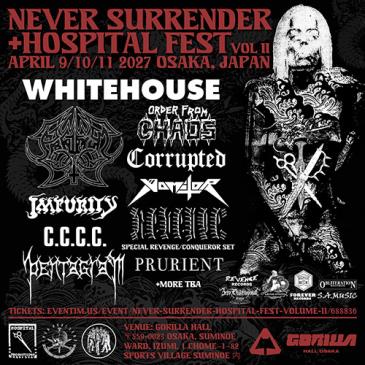 Never Surrender / Hospital Fest Volume II