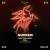 PROGRESSIVE HOUSE NEVER DIED - AUDIEN - DALLAS-img