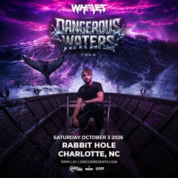 WHALES - CHARLOTTE