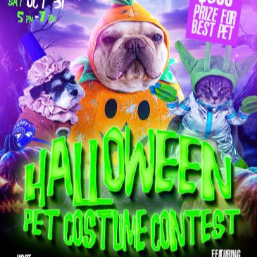🐶🎃 Halloween Pet Costume Contest