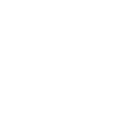 Pitchfork Chicago Logo