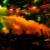 Rich's San Diego: Thumb Image 2